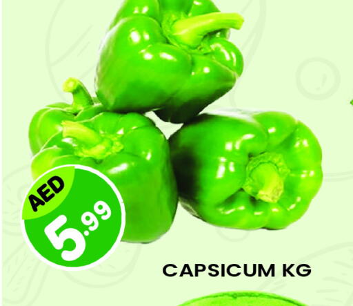 Chilli / Capsicum available at Baniyas Spike  in UAE - Al Ain