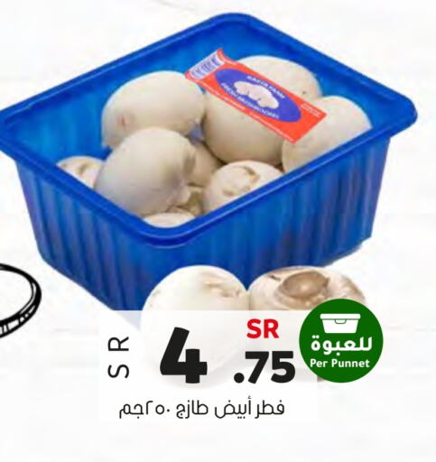 Mushroom available at Al Amer Market in KSA, Saudi Arabia, Saudi - Al Hasa