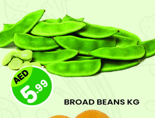 Beans available at Baniyas Spike  in UAE - Al Ain