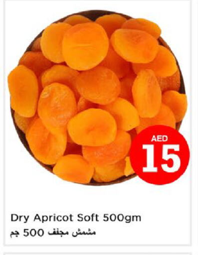 Apricot available at Nesto Hypermarket in UAE - Fujairah