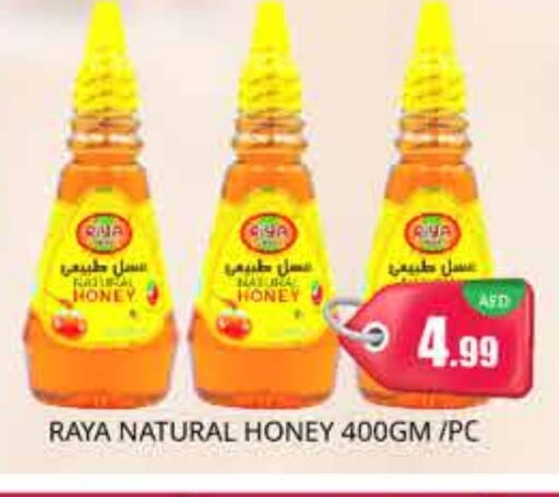 Honey available at PASONS GROUP in UAE - Dubai