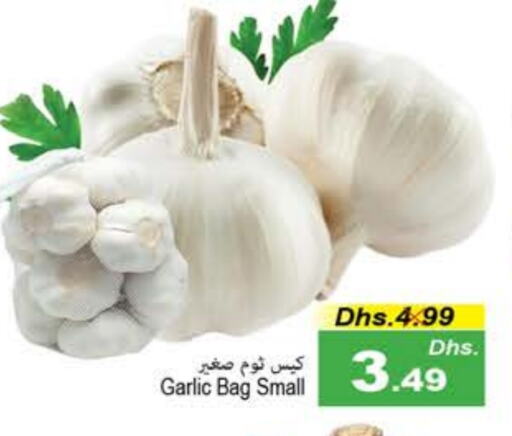 Garlic available at PASONS GROUP in UAE - Fujairah