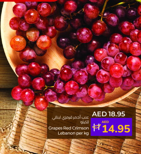 عنب from Lebanon available at لولو هايبرماركت in الإمارات العربية المتحدة , الامارات - ٱلْعَيْن‎