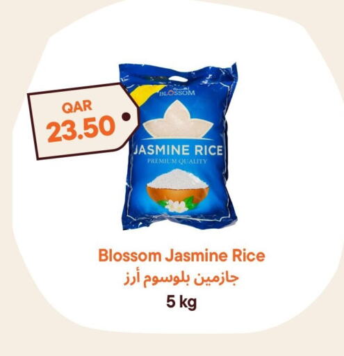 Jasmine Rice available at Talabat Mart in Qatar - Al Daayen