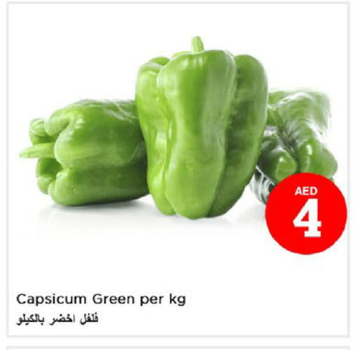 Chilli / Capsicum available at Nesto Hypermarket in UAE - Fujairah