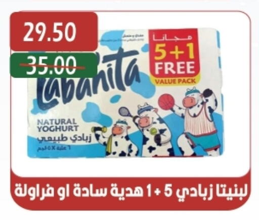 Yoghurt available at Bashayer hypermarket in Egypt - Cairo