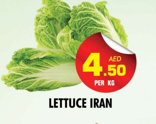 Lettuce from Iran available at NIGHT TO NIGHT DEPARTMENT STORE in UAE - Sharjah / Ajman