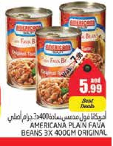 AMERICANA Fava Beans available at PASONS GROUP in UAE - Al Ain