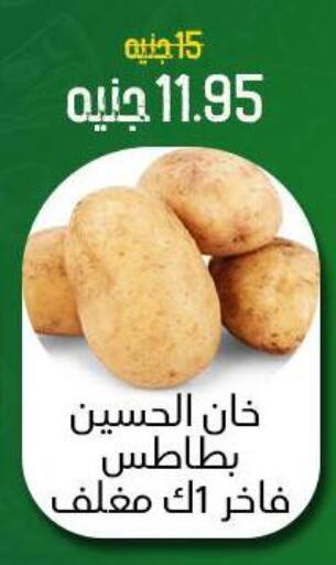 بطاطا available at خان الحسين in Egypt - القاهرة