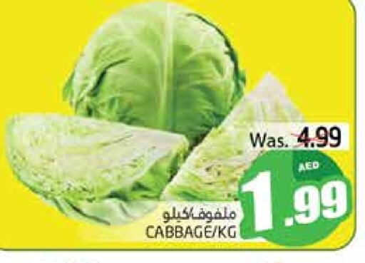 Cabbage available at PASONS GROUP in UAE - Al Ain