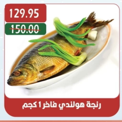 available at بشاير هايبرماركت in Egypt - القاهرة