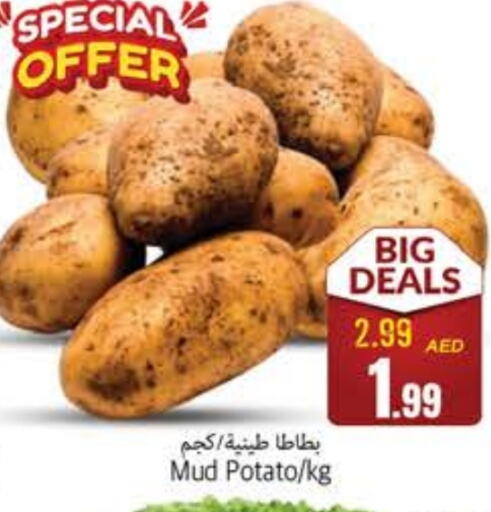 Potato available at PASONS GROUP in UAE - Fujairah