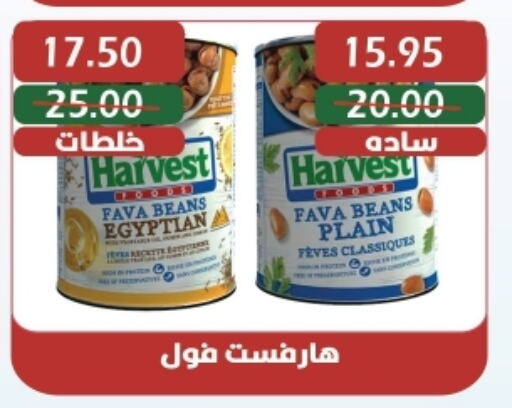 Fava Beans available at Bashayer hypermarket in Egypt - Cairo