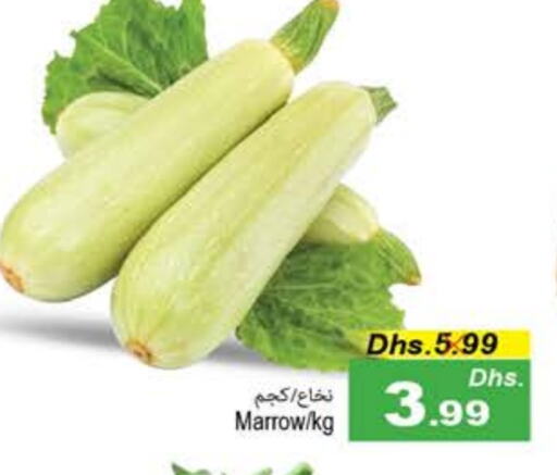 Marrow available at PASONS GROUP in UAE - Fujairah