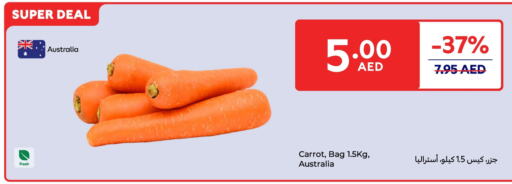 Carrot from Australia available at Carrefour UAE in UAE - Al Ain