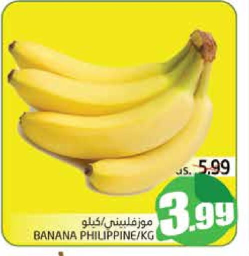 Banana from Philippines available at PASONS GROUP in UAE - Al Ain