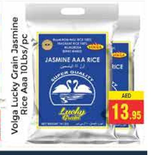 VOLGA Jasmine Rice available at PASONS GROUP in UAE - Dubai