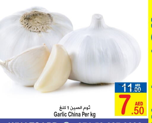 Garlic from China available at Sun and Sand Hypermarket in UAE - Ras al Khaimah