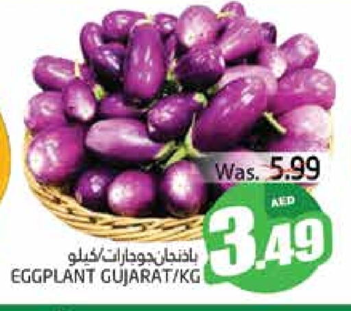 Eggplant available at PASONS GROUP in UAE - Al Ain