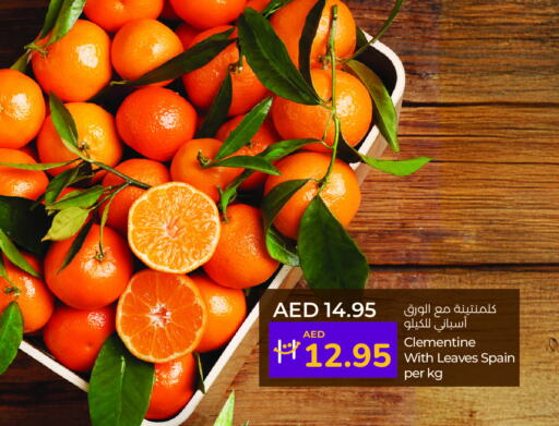 from Spain available at لولو هايبرماركت in الإمارات العربية المتحدة , الامارات - ٱلْعَيْن‎