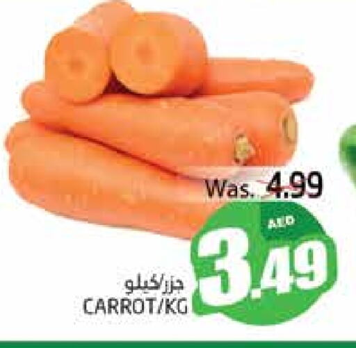 Carrot available at PASONS GROUP in UAE - Al Ain