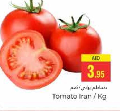 Tomato from Iran available at PASONS GROUP in UAE - Dubai