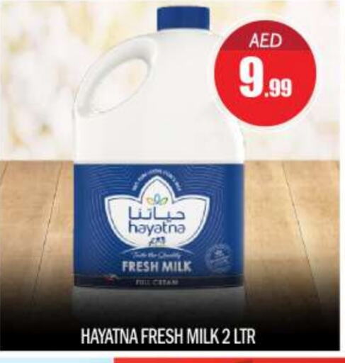 HAYATNA Fresh Milk available at BIGmart in UAE - Abu Dhabi