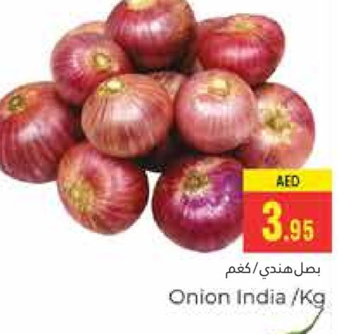 Onion from India available at PASONS GROUP in UAE - Dubai