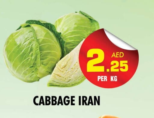 Cabbage from Iran available at NIGHT TO NIGHT DEPARTMENT STORE in UAE - Sharjah / Ajman