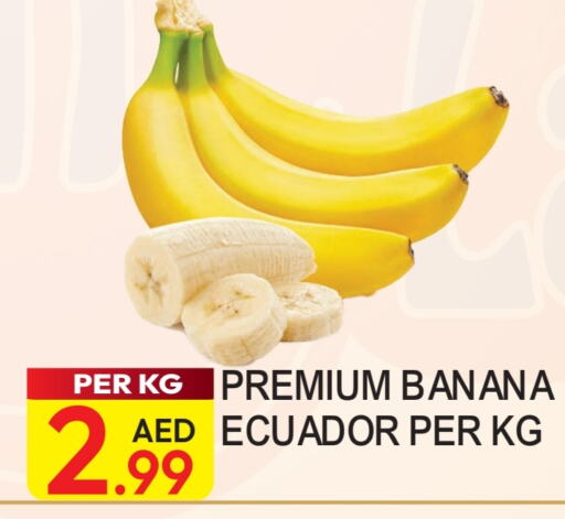 Banana from Ecuador available at Dream Land in UAE - Dubai