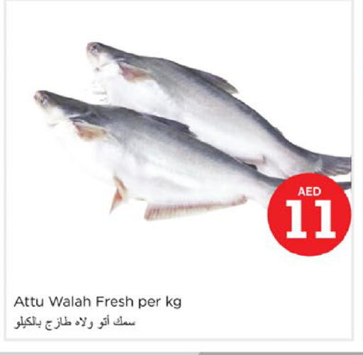 available at Nesto Hypermarket in UAE - Fujairah