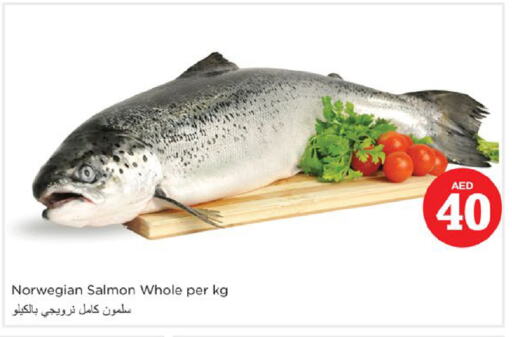 available at Nesto Hypermarket in UAE - Fujairah