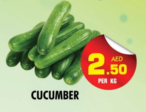 Cucumber available at NIGHT TO NIGHT DEPARTMENT STORE in UAE - Sharjah / Ajman