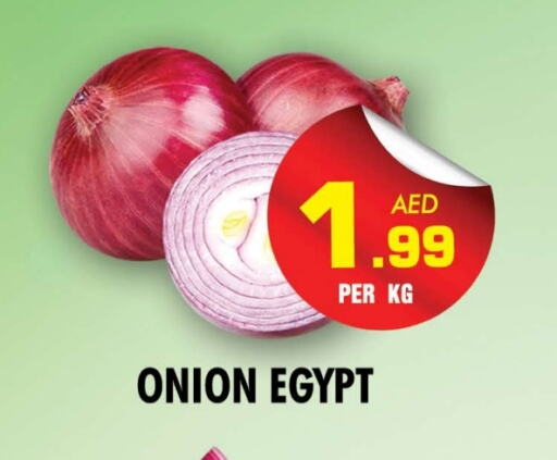 Onion from Egypt available at NIGHT TO NIGHT DEPARTMENT STORE in UAE - Sharjah / Ajman