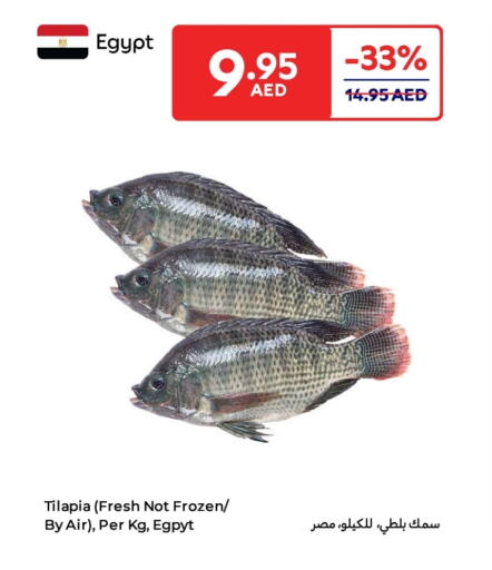 available at Carrefour UAE in UAE - Fujairah