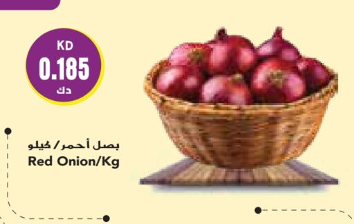 Onion available at Grand Costo in Kuwait - Ahmadi Governorate