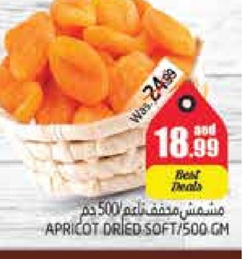 Apricot available at مجموعة باسونس in الإمارات العربية المتحدة , الامارات - ٱلْعَيْن‎