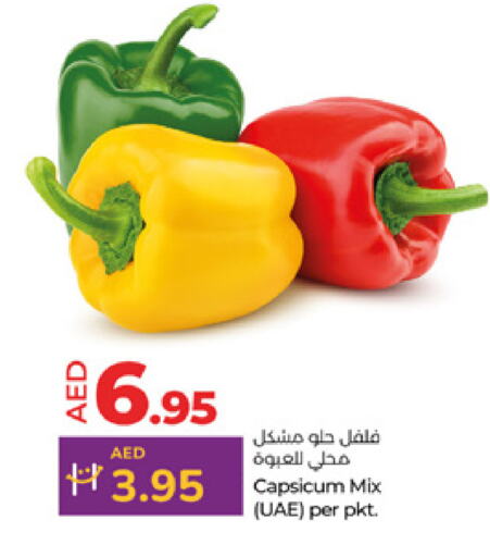 Chilli / Capsicum available at Lulu Hypermarket in UAE - Al Ain