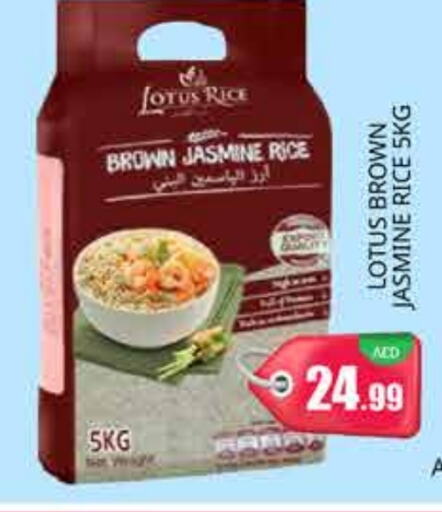 Jasmine Rice available at PASONS GROUP in UAE - Dubai