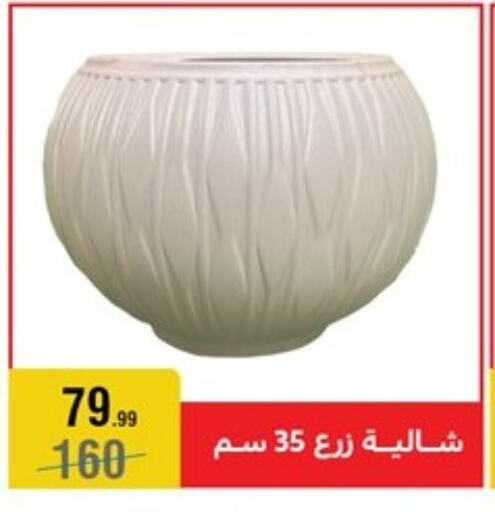 available at المرشدي in Egypt - القاهرة