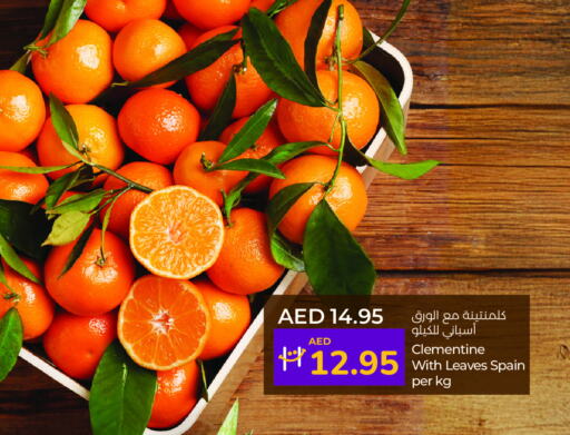 from Spain available at لولو هايبرماركت in الإمارات العربية المتحدة , الامارات - ٱلْفُجَيْرَة‎