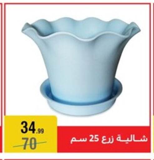 available at المرشدي in Egypt - القاهرة