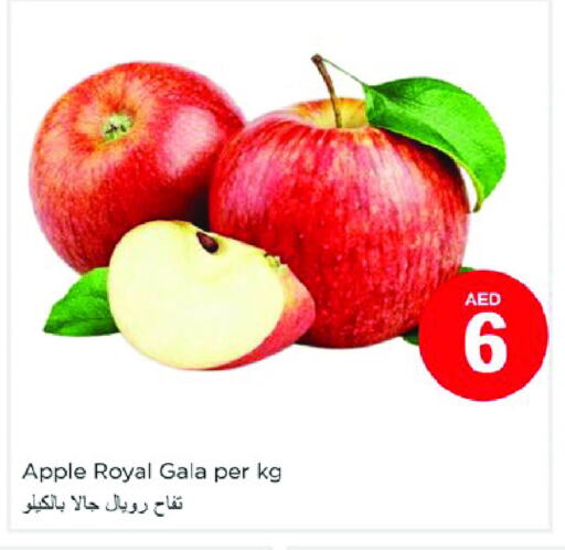 تفاح available at نستو هايبرماركت in الإمارات العربية المتحدة , الامارات - دبي