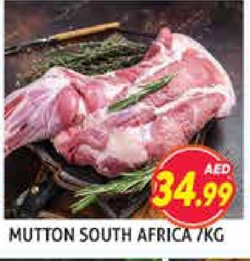 Mutton / Lamb available at Palm Centre LLC in UAE - Sharjah / Ajman