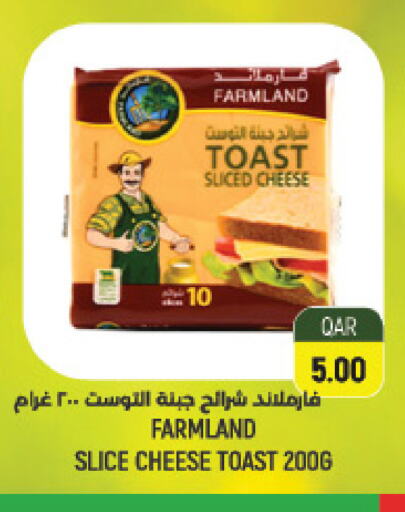 Slice Cheese available at LuLu Hypermarket in Qatar - Umm Salal