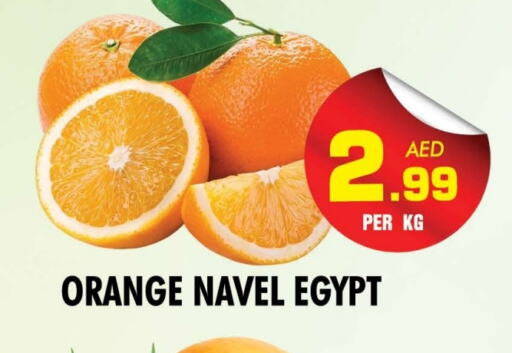 Orange from Egypt available at NIGHT TO NIGHT DEPARTMENT STORE in UAE - Sharjah / Ajman