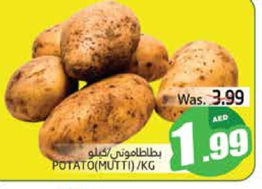 Potato available at PASONS GROUP in UAE - Al Ain