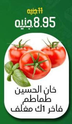 Tomato available at Khan Elhussein in Egypt - Cairo