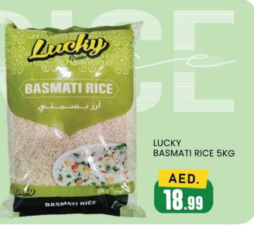 Basmati / Biryani Rice available at AL MADINA (Dubai) in UAE - Dubai