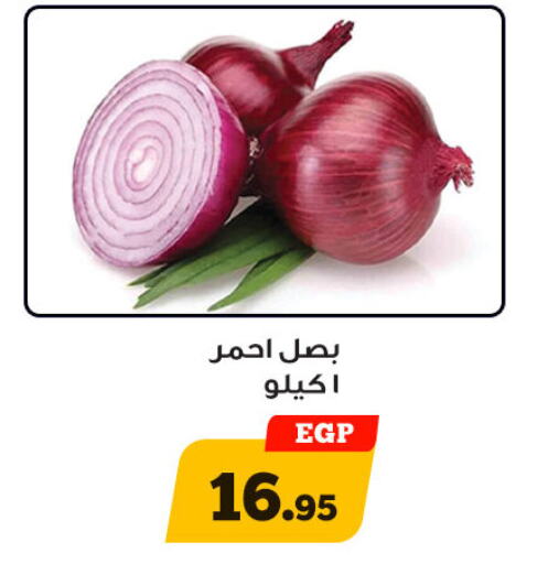 بصل available at أولاد رجب in Egypt - القاهرة